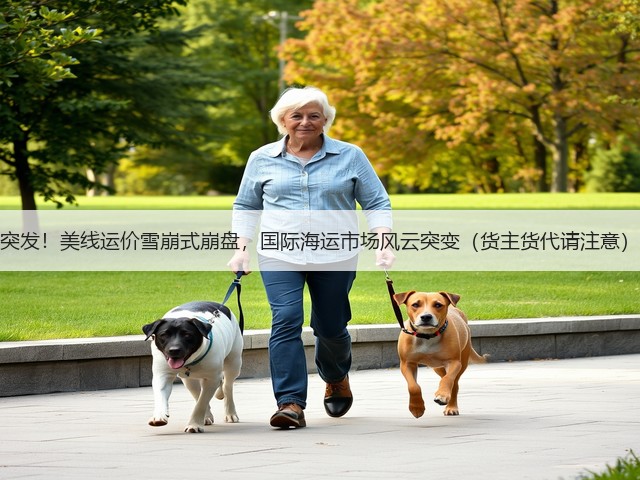 突发!美线运价雪崩式崩盘,国际海运市场风云突变(货主货代请注意)(图1) 突发!美线运价雪崩式崩盘,国际海运市场风云突变(货主货代请注意)(图1)