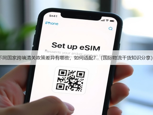 不同国家跨境清关政策差异有哪些，如何适配？（国际物流干货知识分享）(图1)