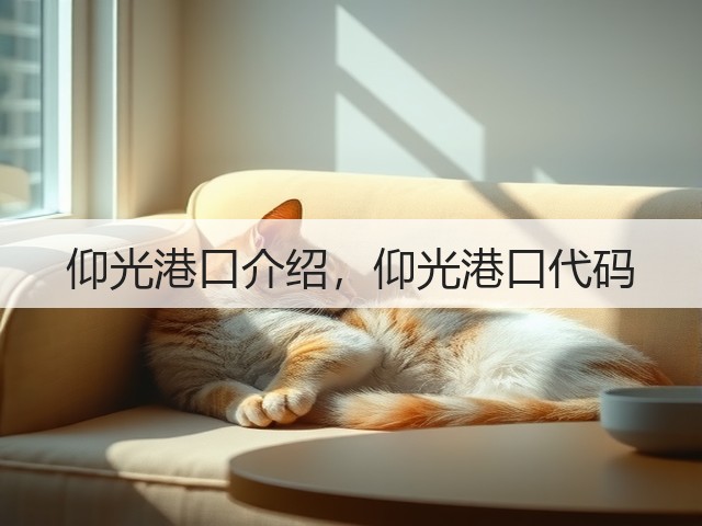 仰光港口介绍，仰光港口代码(图2)