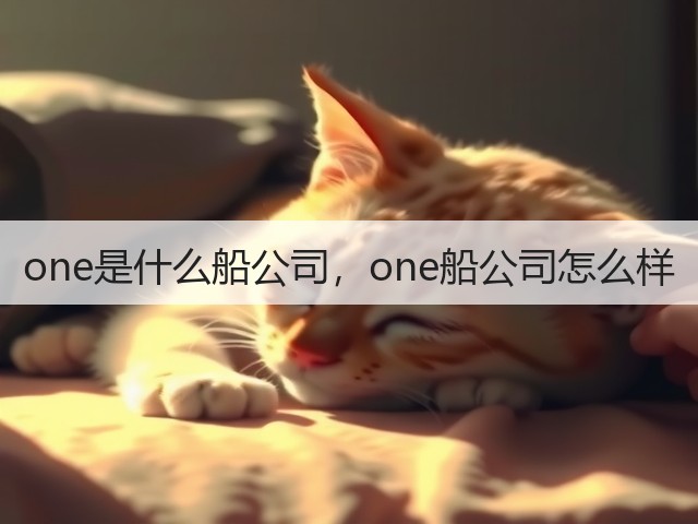 one是什么船公司，one船公司怎么样(图3)