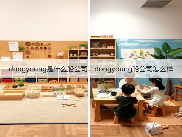 dongyoung是什么船公司，dongyoung船公司怎么样(图2)