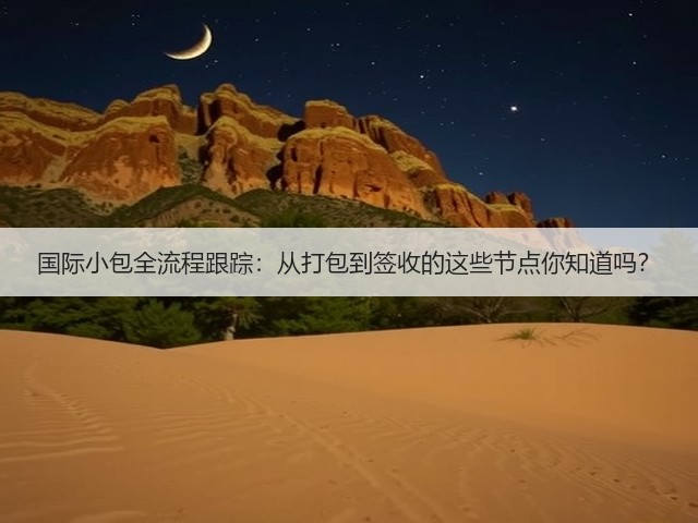 国际小包全流程跟踪：从打包到签收的这些节点你知道吗？(图3)