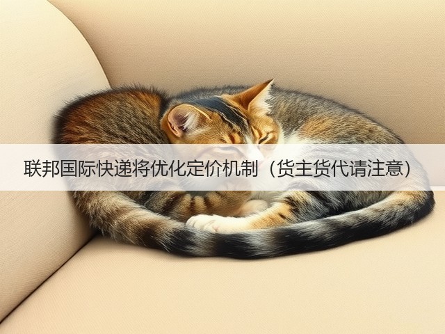 联邦国际快递将优化定价机制（货主货代请注意）(图1)