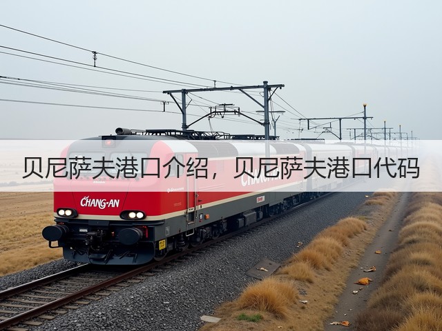 贝尼萨夫港口介绍，贝尼萨夫港口代码(图1)