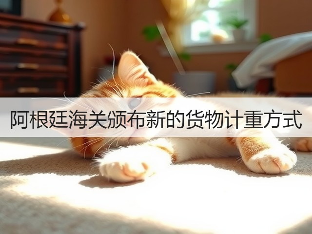 阿根廷海关颁布新的货物计重方式(图2)