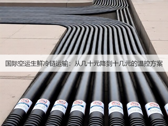 国际空运生鲜冷链运输:从几十元降到十几元的温控方案(图3) 国际空运生鲜冷链运输:从几十元降到十几元的温控方案(图3)