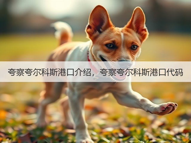 夸察夸尔科斯港口介绍，夸察夸尔科斯港口代码(图3)