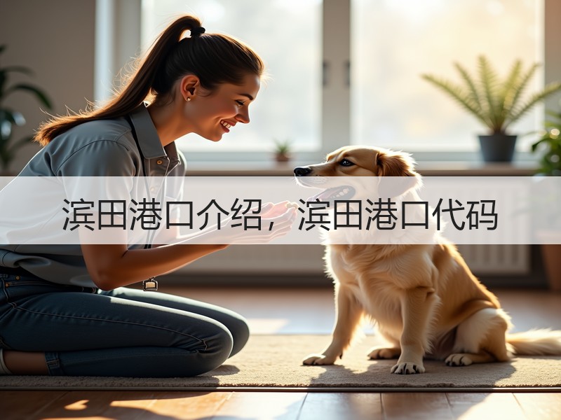滨田港口介绍，滨田港口代码