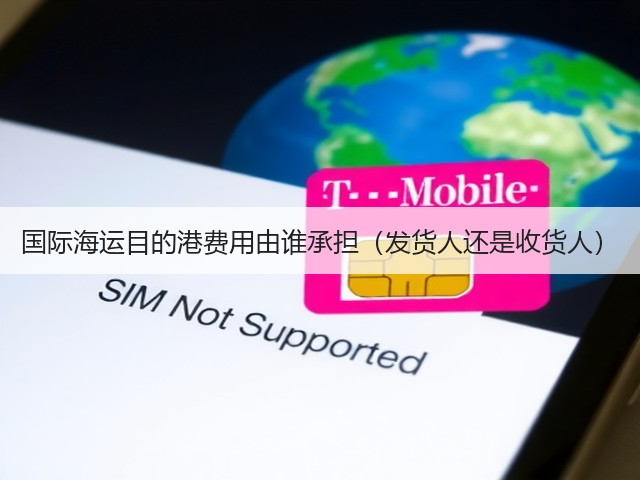 国际海运目的港费用由谁承担(发货人还是收货人)(图2) 国际海运目的港费用由谁承担(发货人还是收货人)(图2)