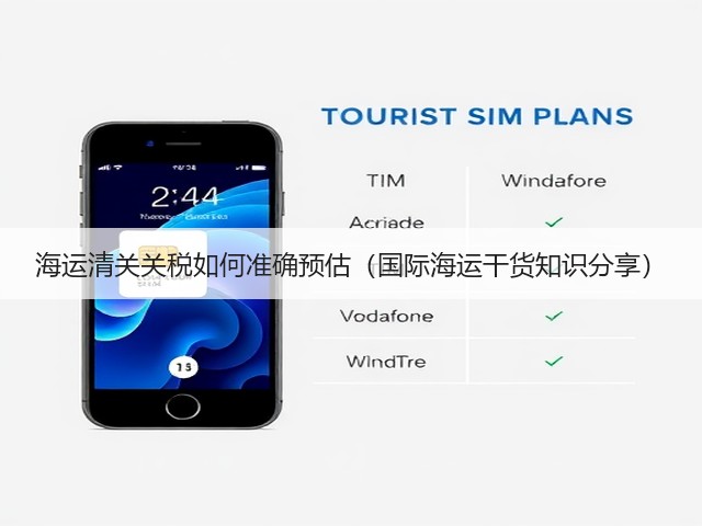 海运清关关税如何准确预估（国际海运干货知识分享）(图1)
