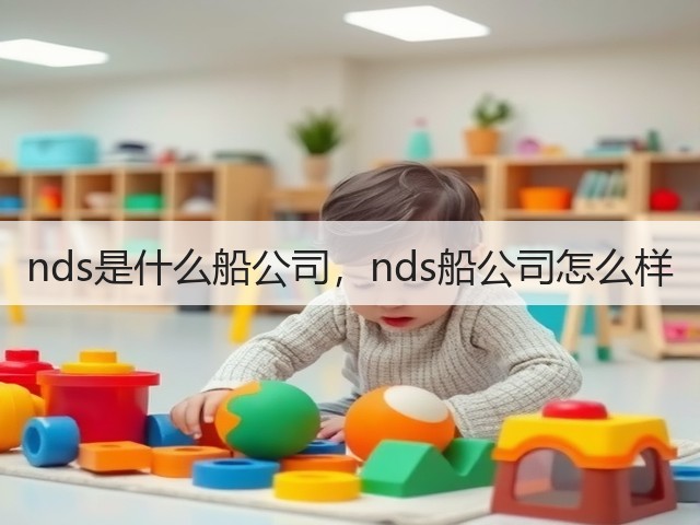 nds是什么船公司，nds船公司怎么样(图2)