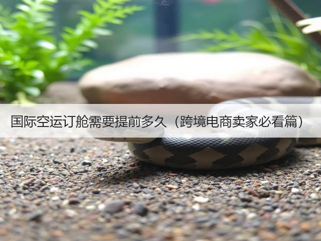 国际空运订舱需要提前多久(跨境电商卖家必看篇)(图1) 国际空运订舱需要提前多久(跨境电商卖家必看篇)(图1)