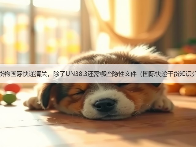带电货物国际快递清关，除了UN38.3还需哪些隐性文件（国际快递干货知识分享）(图3)