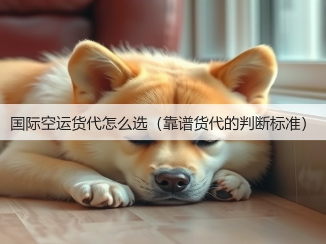 国际空运货代怎么选(靠谱货代的判断标准)(图3) 国际空运货代怎么选(靠谱货代的判断标准)(图3)
