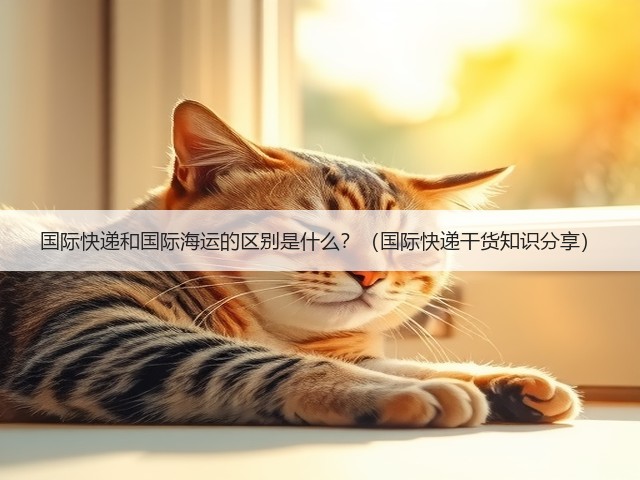 国际快递和国际海运的区别是什么？（国际快递干货知识分享）(图3)