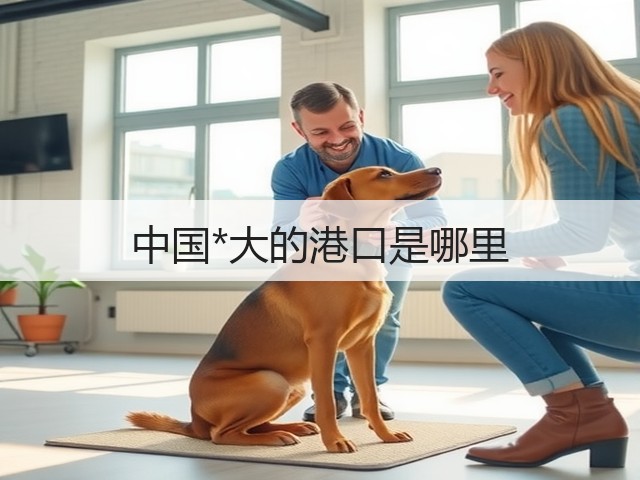 中国*大的港口是哪里(图3)