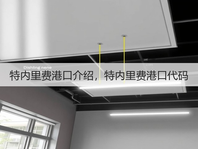 特内里费港口介绍,特内里费港口代码(图2) 特内里费港口介绍,特内里费港口代码(图2)