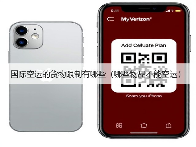 国际空运的货物限制有哪些(哪些物品不能空运)(图1) 国际空运的货物限制有哪些(哪些物品不能空运)(图1)