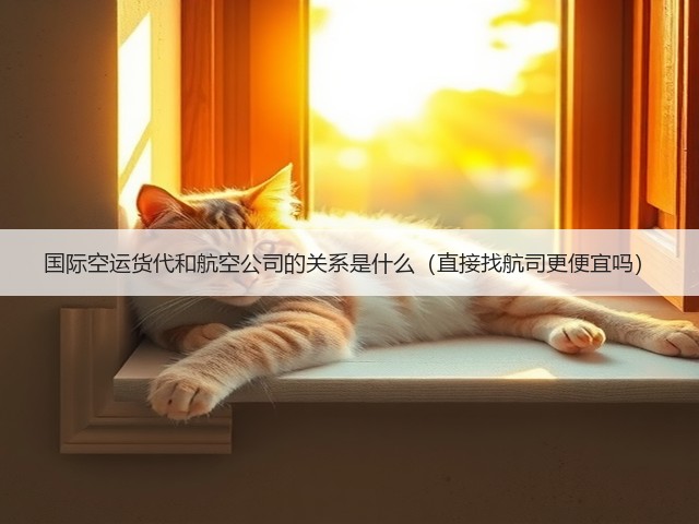 国际空运货代和航空公司的关系是什么(直接找航司更便宜吗)(图1) 国际空运货代和航空公司的关系是什么(直接找航司更便宜吗)(图1)
