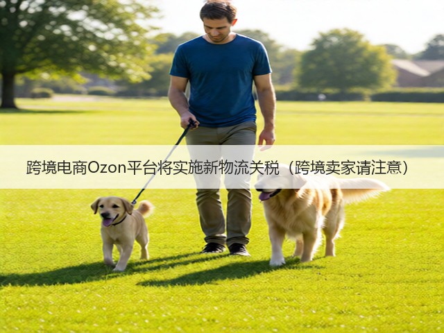 跨境电商Ozon平台将实施新物流关税(跨境卖家请注意)(图3) 跨境电商Ozon平台将实施新物流关税(跨境卖家请注意)(图3)