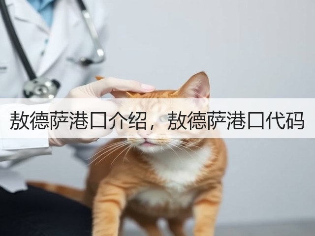 敖德萨港口介绍,敖德萨港口代码(图1) 敖德萨港口介绍,敖德萨港口代码(图1)