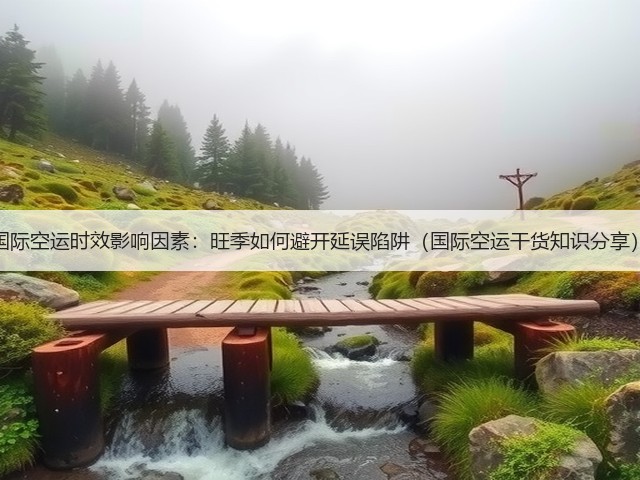 国际空运时效影响因素：旺季如何避开延误陷阱（国际空运干货知识分享）(图1)