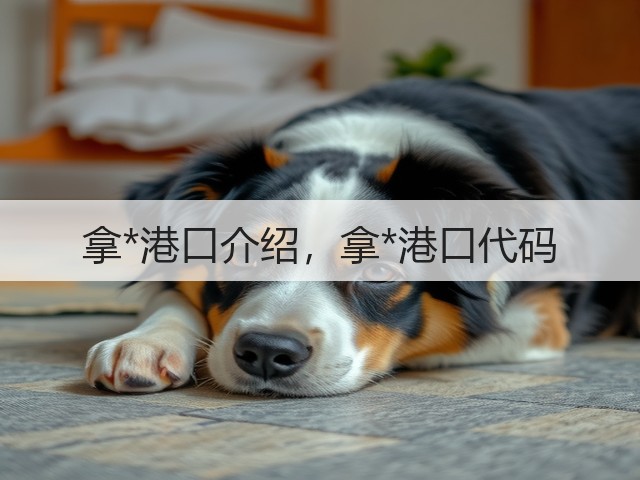 拿*港口介绍，拿*港口代码(图2)