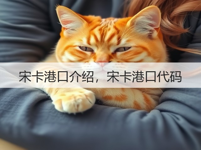 宋卡港口介绍，宋卡港口代码(图2)