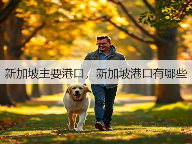 新加坡主要港口,新加坡港口有哪些(图2) 新加坡主要港口,新加坡港口有哪些(图2)
