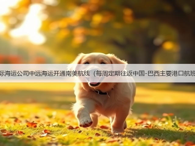 国际海运公司中远海运开通南美航线（每周定期往返中国-巴西主要港口航班）(图3)