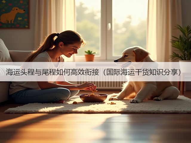 海运头程与尾程如何高效衔接（国际海运干货知识分享）(图1)