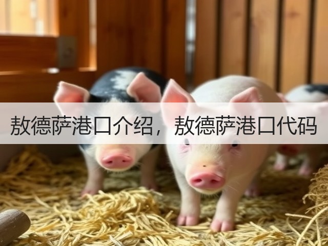 敖德萨港口介绍,敖德萨港口代码(图2) 敖德萨港口介绍,敖德萨港口代码(图2)