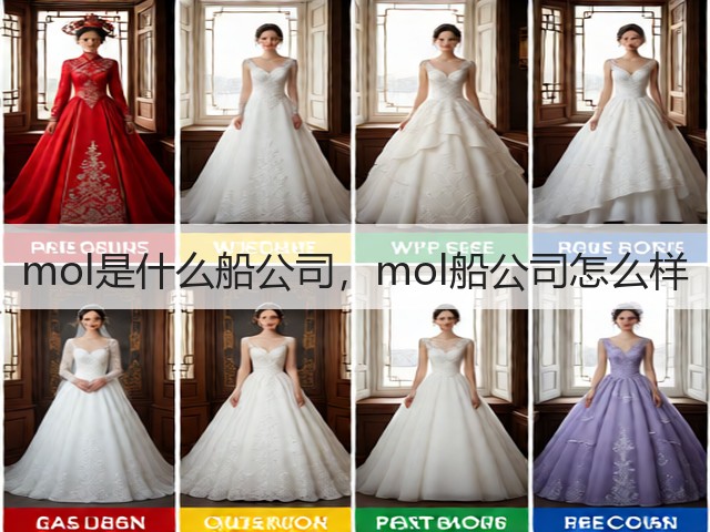mol是什么船公司，mol船公司怎么样(图3)