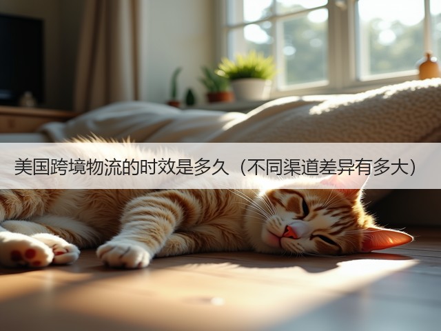 美国跨境物流的时效是多久(不同渠道差异有多大)(图3) 美国跨境物流的时效是多久(不同渠道差异有多大)(图3)