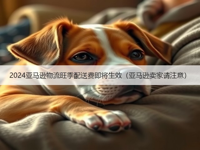 2024亚马逊物流旺季配送费即将生效（亚马逊卖家请注意）(图2)