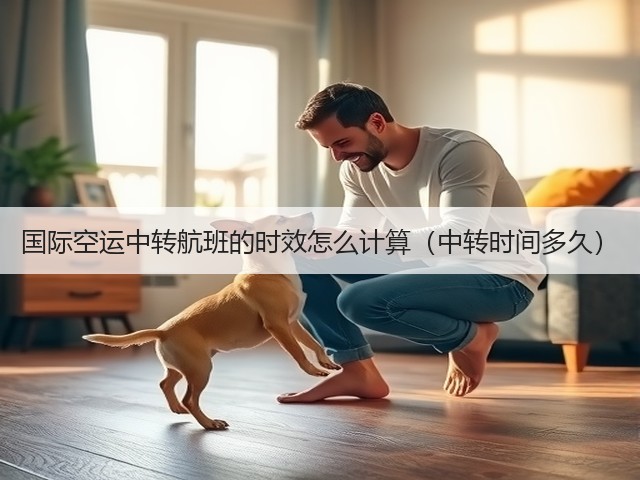 国际空运中转航班的时效怎么计算（中转时间多久）(图1)