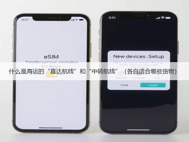 什么是海运的“直达航线”和“中转航线”（各自适合哪些货物）(图2)
