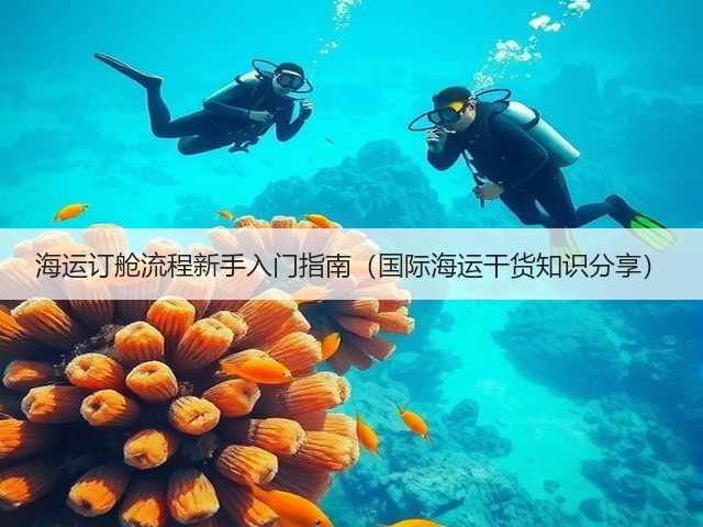 海运订舱流程新手入门指南（国际海运干货知识分享）(图3)