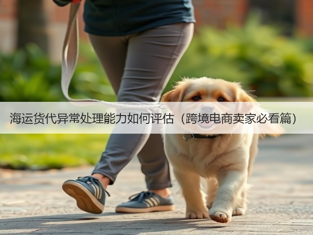 海运货代异常处理能力如何评估(跨境电商卖家必看篇)(图3) 海运货代异常处理能力如何评估(跨境电商卖家必看篇)(图3)