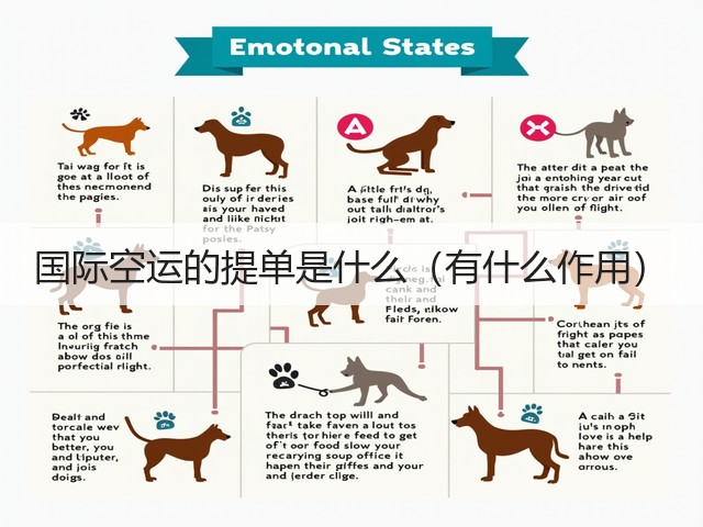 国际空运的提单是什么(有什么作用)(图3) 国际空运的提单是什么(有什么作用)(图3)