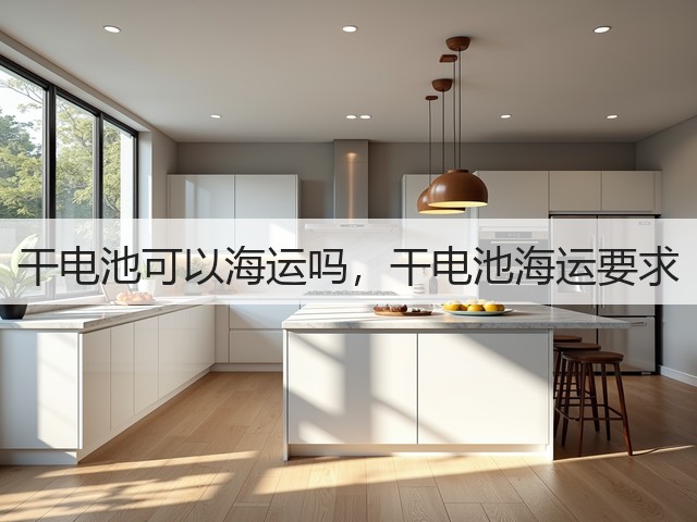 干电池可以海运吗，干电池海运要求(图1)