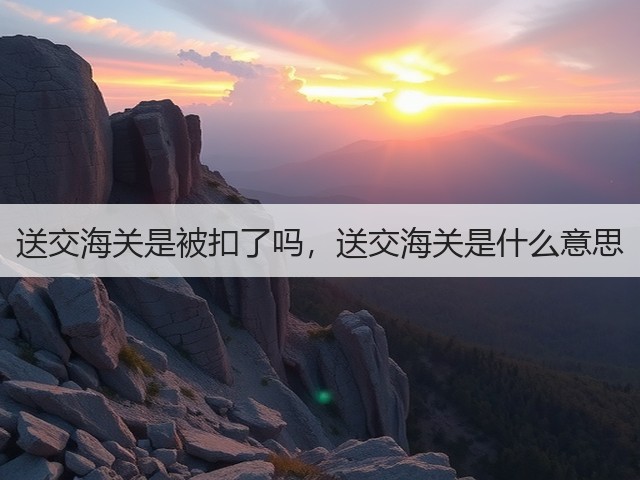 送交海关是被扣了吗，送交海关是什么意思(图3)