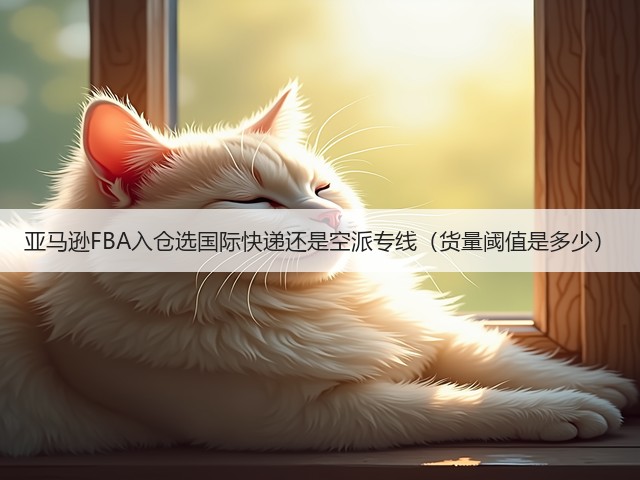 亚马逊FBA入仓选国际快递还是空派专线（货量阈值是多少）(图3)