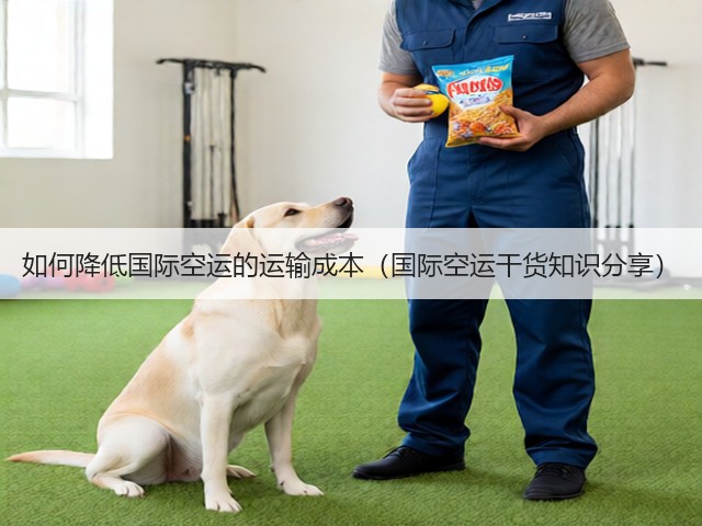如何降低国际空运的运输成本（国际空运干货知识分享）(图2)
