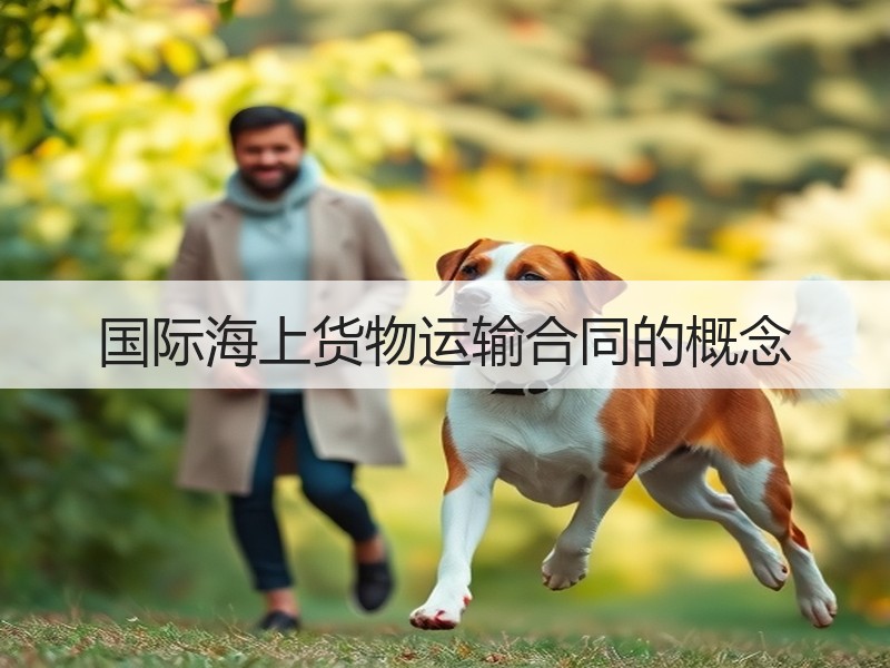 国际海上货物运输合同的概念