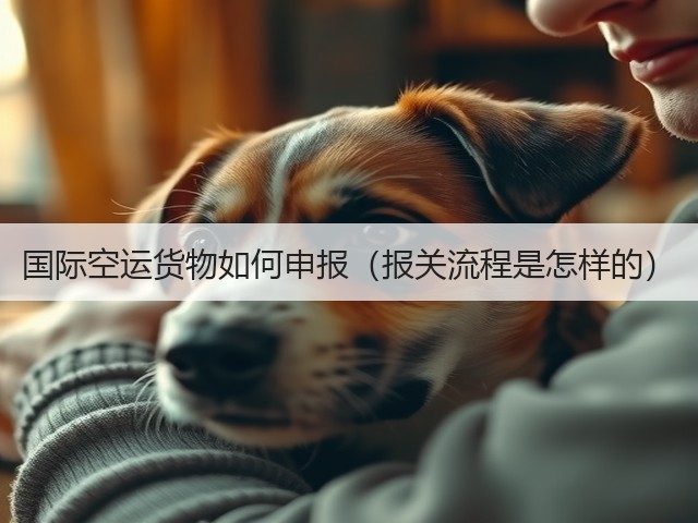 国际空运货物如何申报（报关流程是怎样的）(图3)