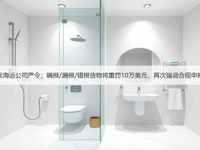 国际海运公司严令：瞒报/漏报/错报货物将重罚10万美元，再次强调合规申报！(图3)