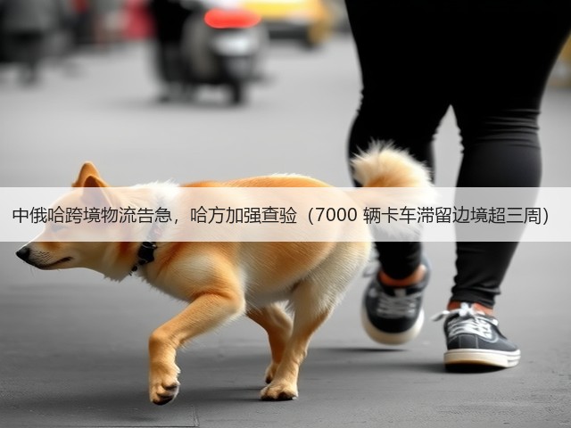 中俄哈跨境物流告急，哈方加强查验（7000 辆卡车滞留边境超三周）(图2)