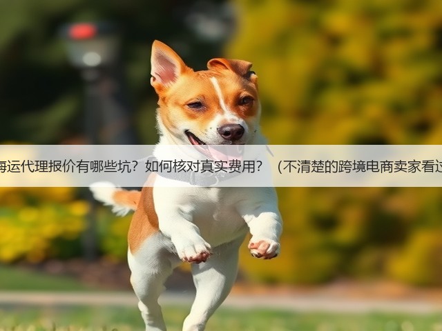 国际海运代理报价有哪些坑?如何核对真实费用?(不清楚的跨境电商卖家看过来)(图1) 国际海运代理报价有哪些坑?如何核对真实费用?(不清楚的跨境电商卖家看过来)(图1)