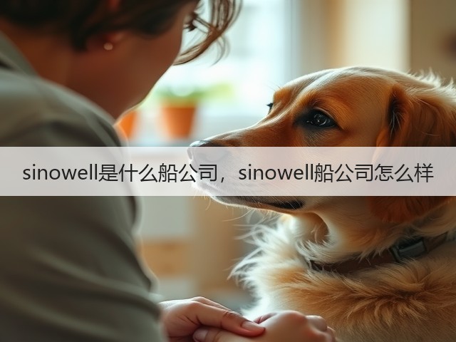 sinowell是什么船公司，sinowell船公司怎么样(图2)